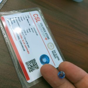 WhatsApp Image 2024 03 25 at 18.23.09