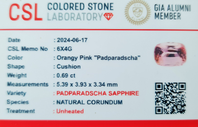 6X4G padparadscha