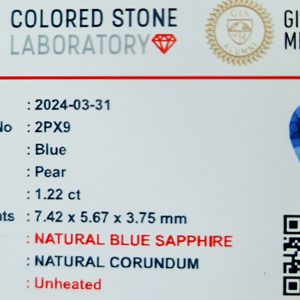 2PX9 c